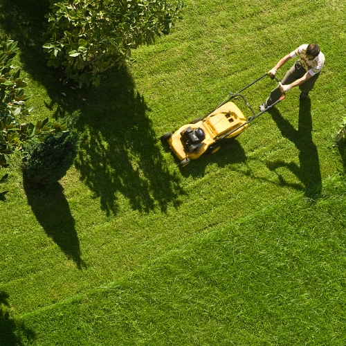 Lawn Care
