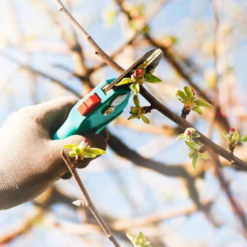 Other Landscaping Services