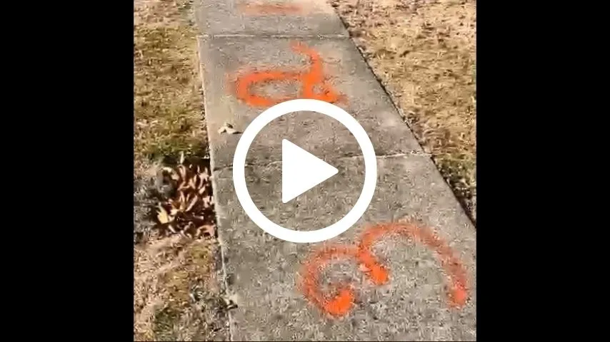 video4